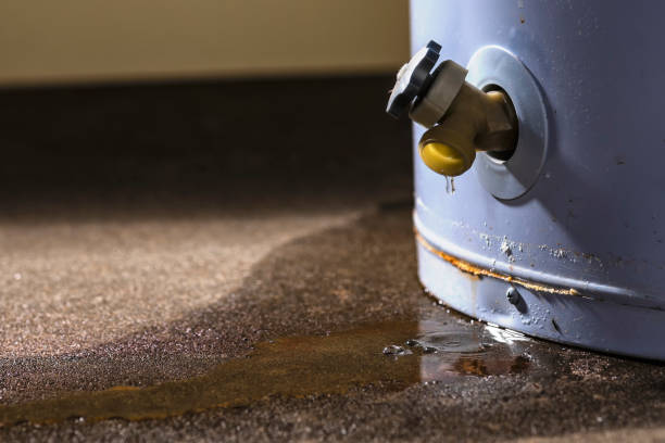 Best Sewage cleanup and water damage restoration  in Pine Mountain Lake, CA