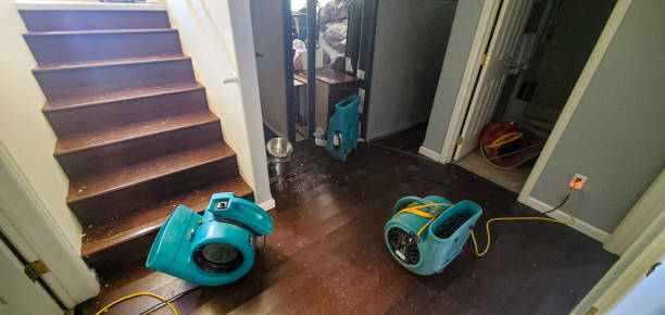 Best Water damage restoration near me  in Pine Mountain Lake, CA