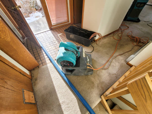 Best Basement water damage restoration  in Pine Mountain Lake, CA