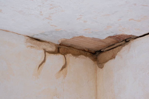 Best Emergency water extraction  in Pine Mountain Lake, CA