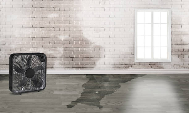 Best Residential water damage restoration  in Pine Mountain Lake, CA