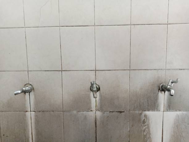 Best Professional water damage repair  in Pine Mountain Lake, CA