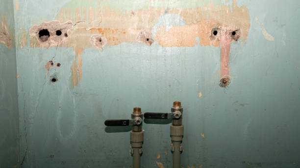 Best Flooded house restoration  in Pine Mountain Lake, CA