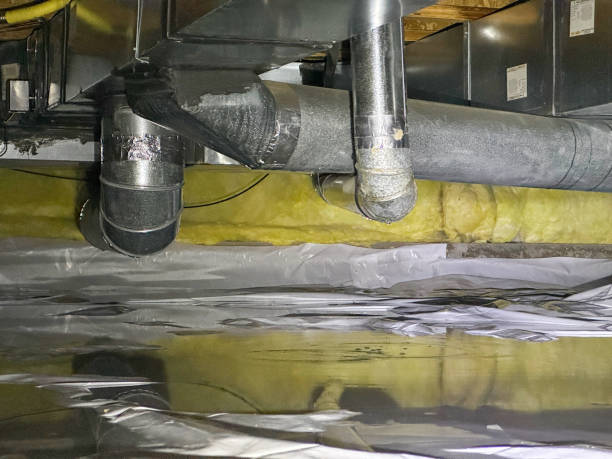 Best Water damage contractors near me  in Pine Mountain Lake, CA