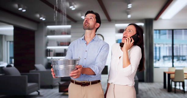 Best Water damage restoration specialists  in Pine Mountain Lake, CA