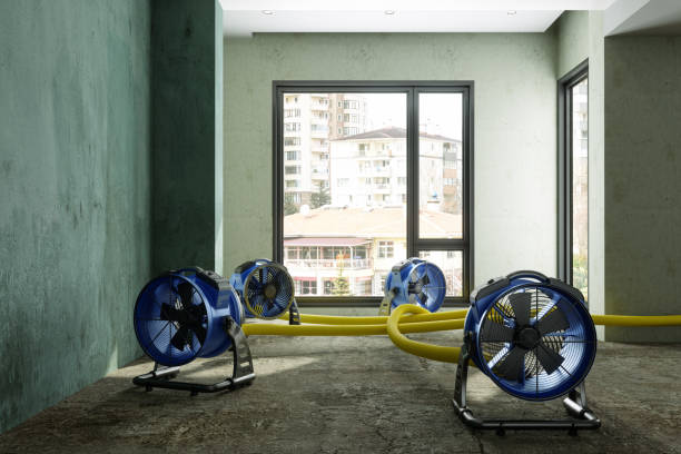 Best Commercial water damage restoration  in Pine Mountain Lake, CA